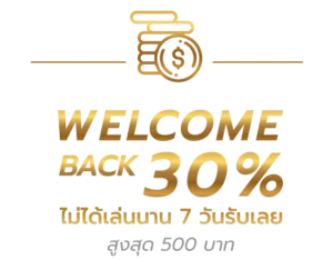 38thai Welcome back 30%